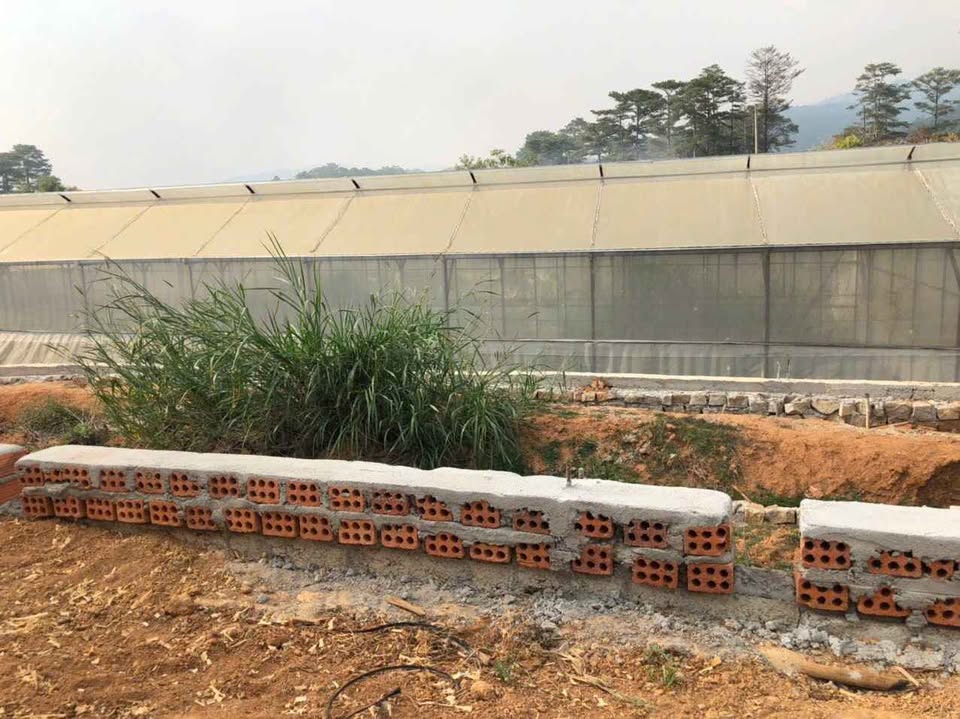 Đất Thái Phiên, Đà Lạt, móng vững chắc, tiềm năng sinh lời