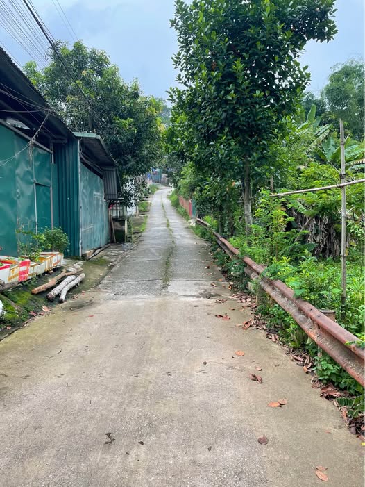 Đất vàng 78m2 Tân Giang - Ô tô tới đất, giá hời