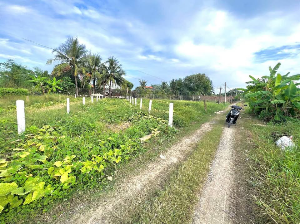 Đất xịn sò, giá hời, 380 triệu chốt ngay tại Nhựt Tảo