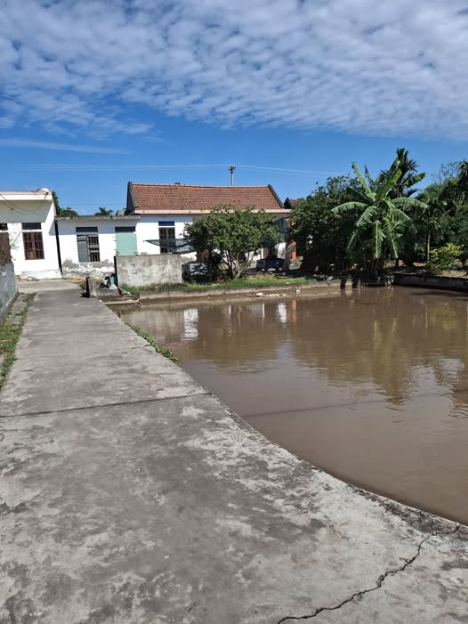 Bán đất 545m2 mặt tiền 14m tại Hải Đông, Nam Định, tiềm năng tăng giá cao