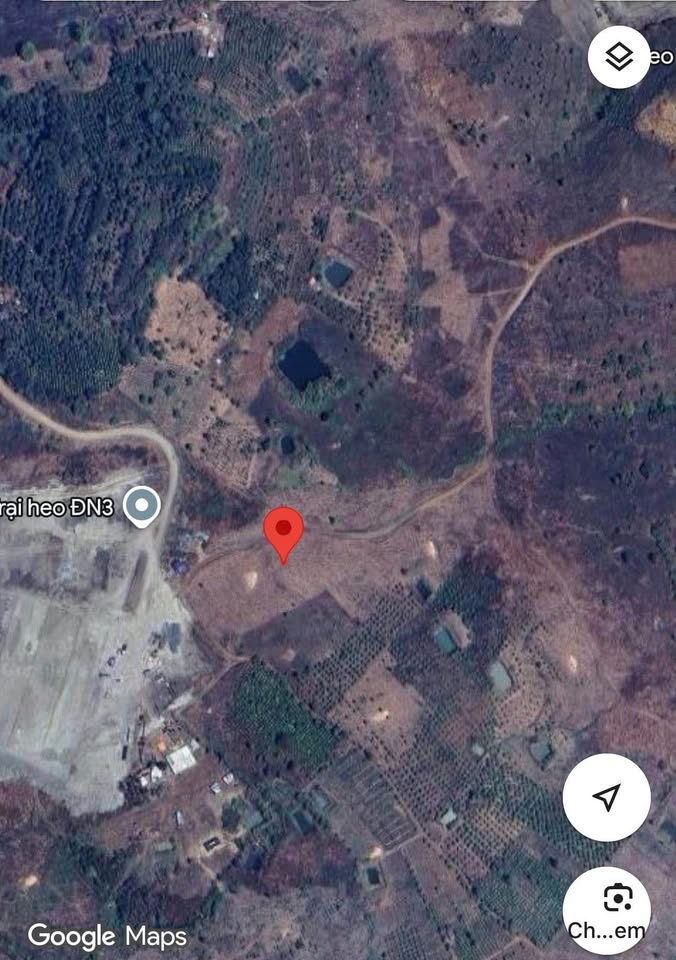 3 hecta đất tại Dak Gằn, xã Dak Mil, Lâm Đồng