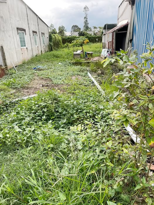 Chào mừng quý vị đến với cơ hội sở hữu một mảnh đất cực phẩm tại Xã Hoà Long