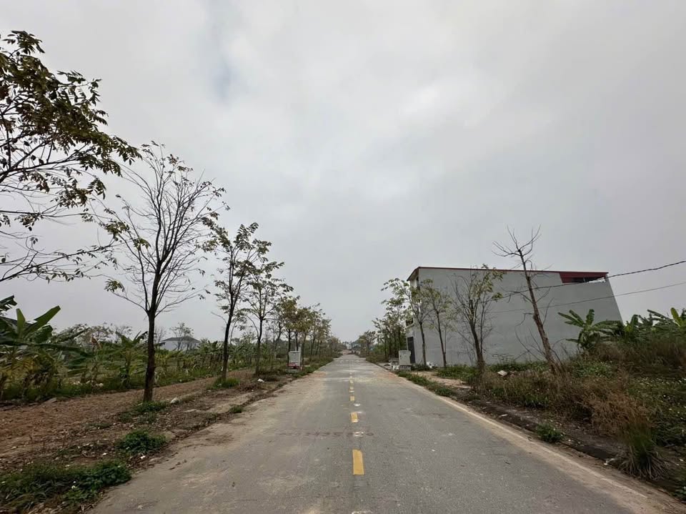 Bán đất nền Đồng Gáo, Vĩnh Phúc - 118.5m2, mặt tiền 5.5m, đường 13.5m