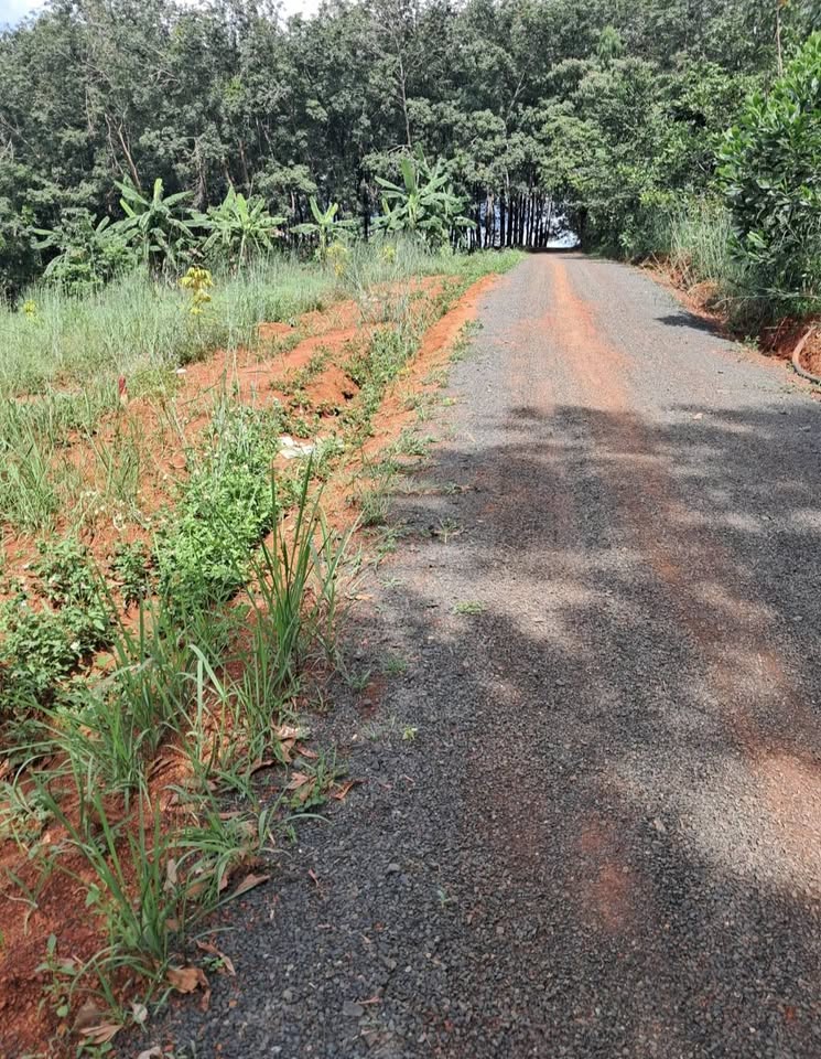 Chào mừng quý nhà đầu tư đến với cơ hội sở hữu những lô đất sào tuyệt đẹp tại ấp 6, xã Đồng Tiến