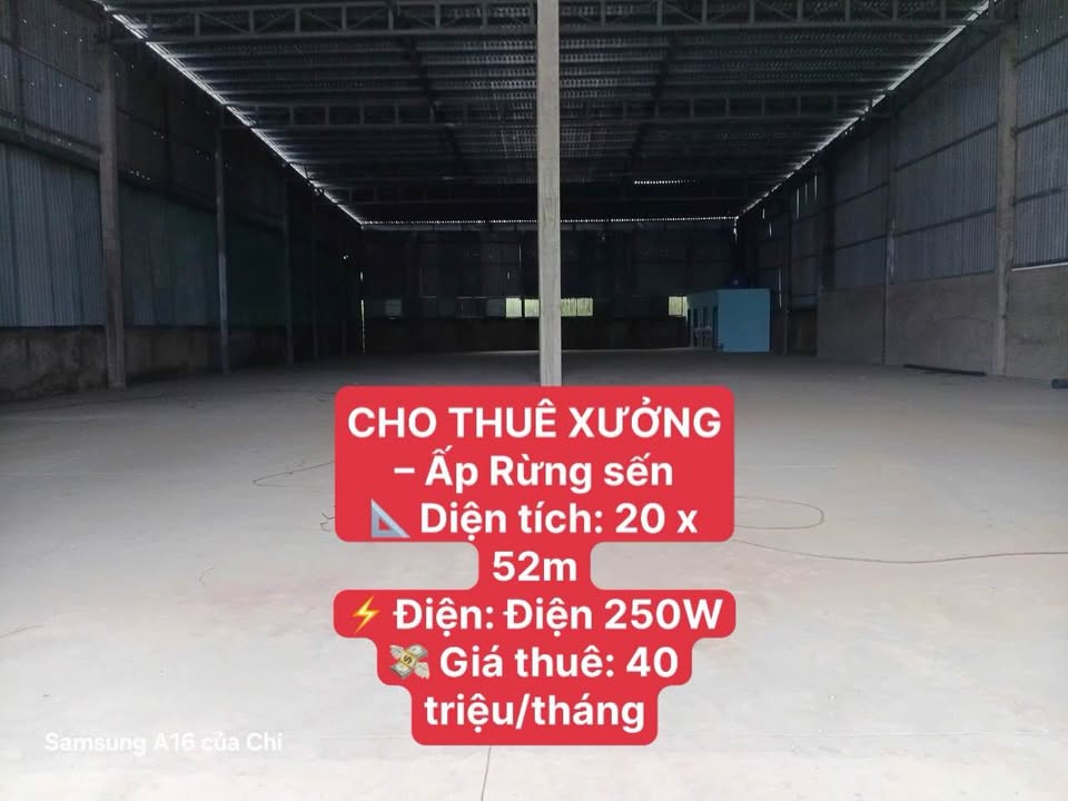 Đừng bỏ lỡ xưởng cho thuê tại ấp Rừng Sến, Mỹ Hạnh Bắc, Long An