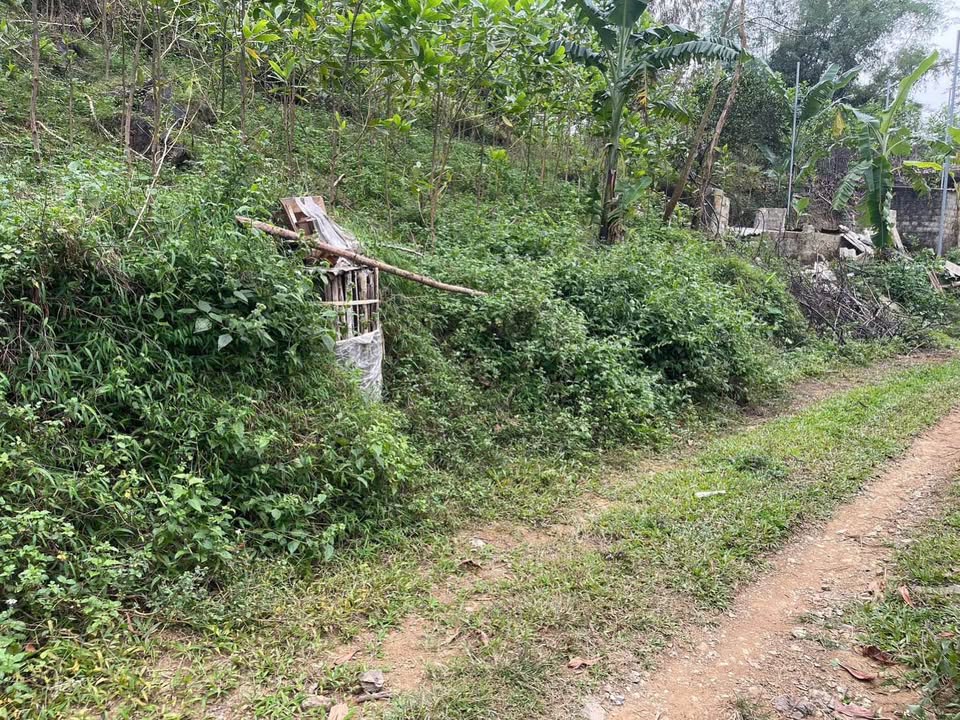 Bán đất rẻ đẹp, tiềm năng lớn tại Hòa Bình 4666m2