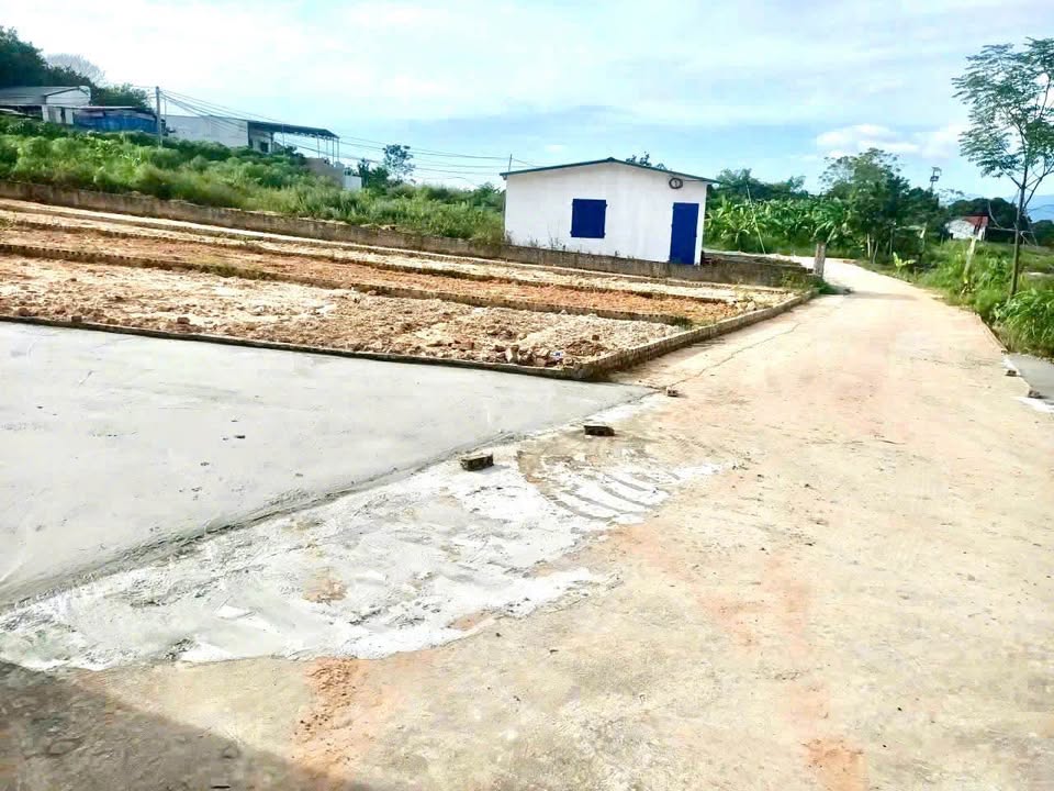 Đất thổ cư Hướng Đạo, Tam Dương, an cư lạc nghiệp