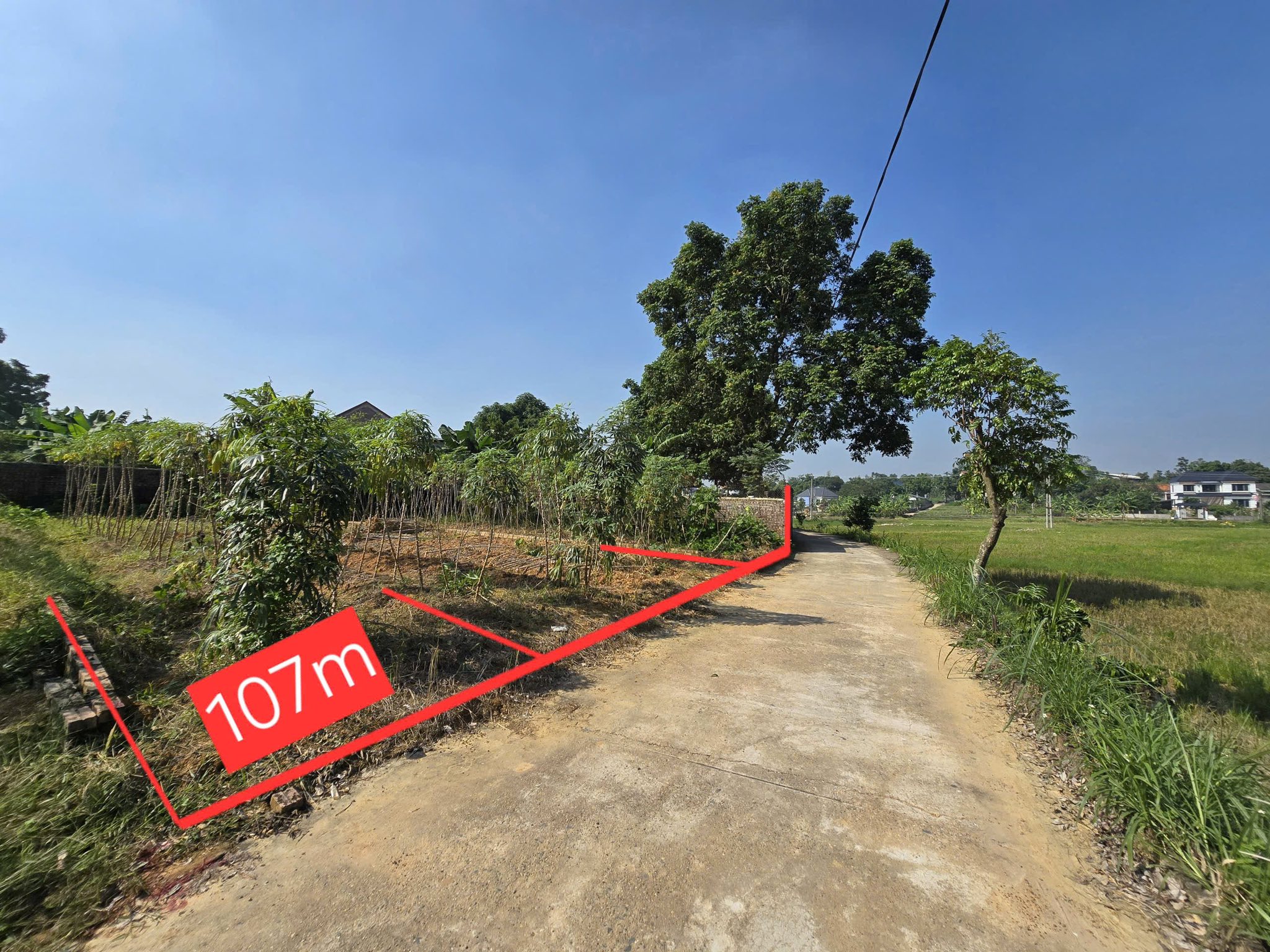 Đất Kim Long view cánh đồng, giá yêu thương chỉ 6xx triệu