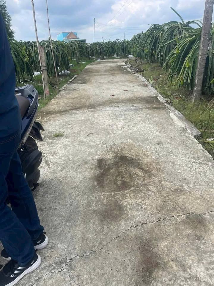 Cơ hội vàng sở hữu ngay lô đất thổ cư siêu đẹp tại Thanh Phú Long, Châu Thành, Long An