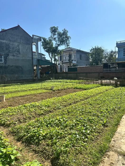 Đất nền Đề Thám ô tô đỗ cửa, sổ đỏ sẵn sàng, giá chỉ nhỉnh 1 tỷ