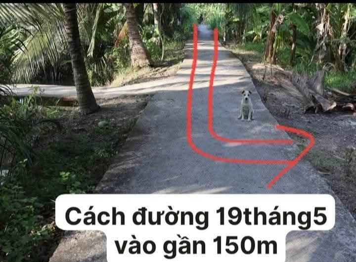 Bến Tre - Đất vườn dừa 1.538m2 sạch đẹp, giá hời 800 triệu