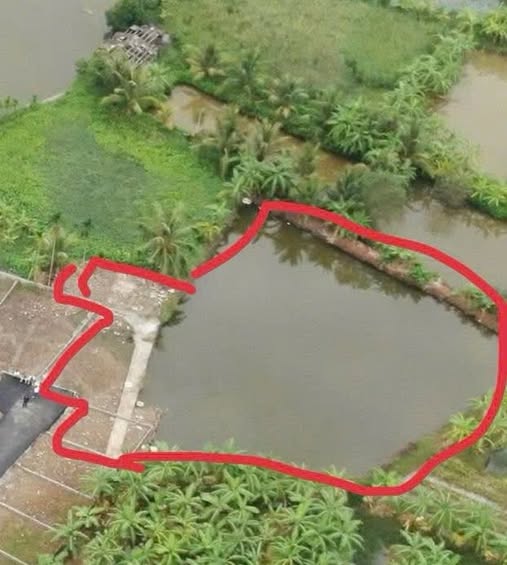 Bán lô đất nhà vườn 1700m2 giá tốt tại Đồ Sơn