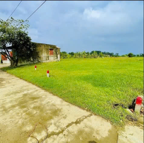 Đất Cẩm Văn Tây 370m2, đầu tư nhà vườn hoặc sinh lời