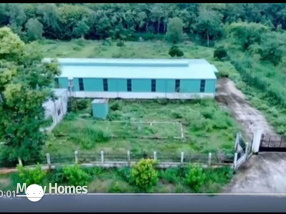 Siêu phẩm nhà xưởng 6188m2 tại Long Tân, Dầu Tiếng - cơ hội đầu tư vàng