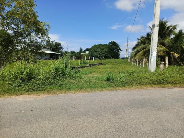 Đất thổ cư mặt tiền đường nhựa Liên Xã, Hàm Liêm, Bình Thuận - Cơ hội đầu tư hấp dẫn