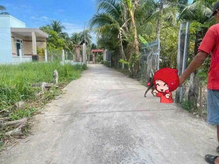 Đất Phú Nhuận, Bến Tre, đầu tư sinh lời, giá tốt nhất khu vực