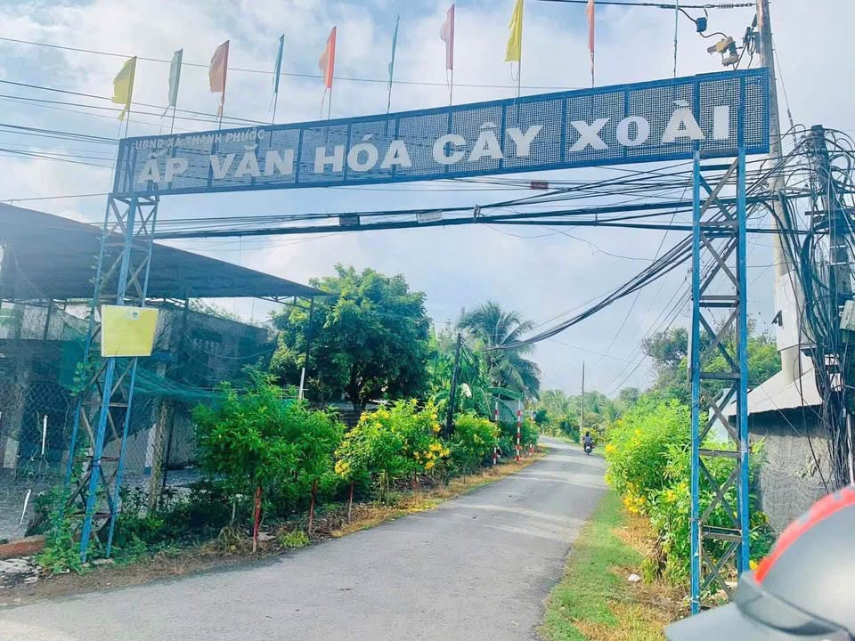 Đất mặt tiền nhựa Bàu Sen, Gò Dầu, Tây Ninh - Diện tích lớn, giá đầu tư