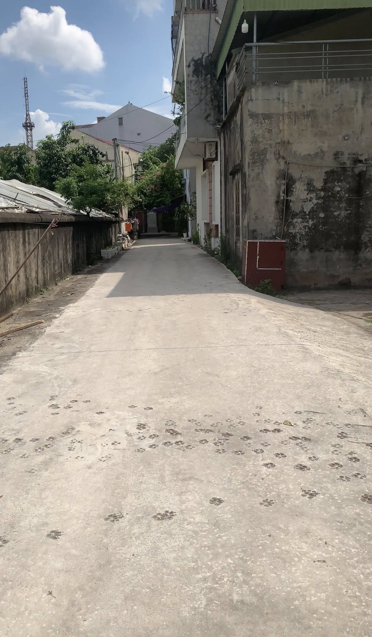 Bán gấp lô góc 60m2 trung tâm Tế Tiêu, 2,x tỷ