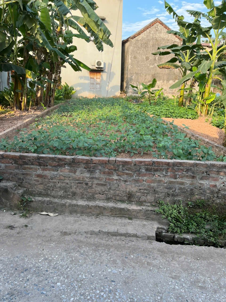 Đất vàng Phúc Sơn cơ hội đầu tư sinh lời khó cưỡng