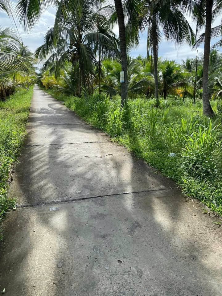 Bạn đang tìm kiếm một không gian sống rộng rãi, thoáng đãng để xây dựng tổ ấm mơ ước