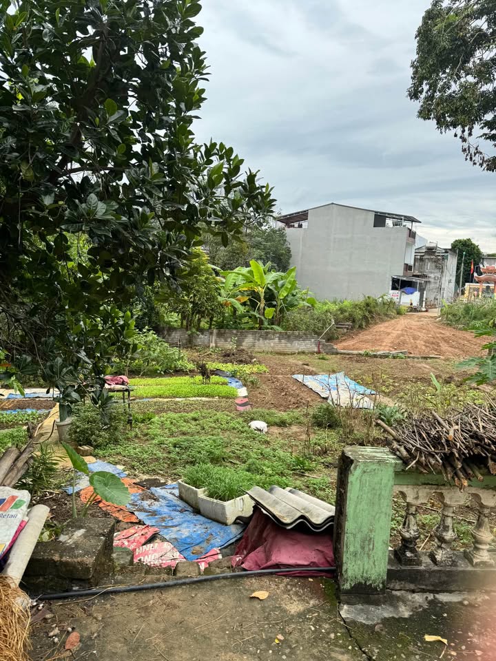 Đất vàng trung tâm Tuyên Quang, ô tô đỗ cửa, sổ đỏ trao tay