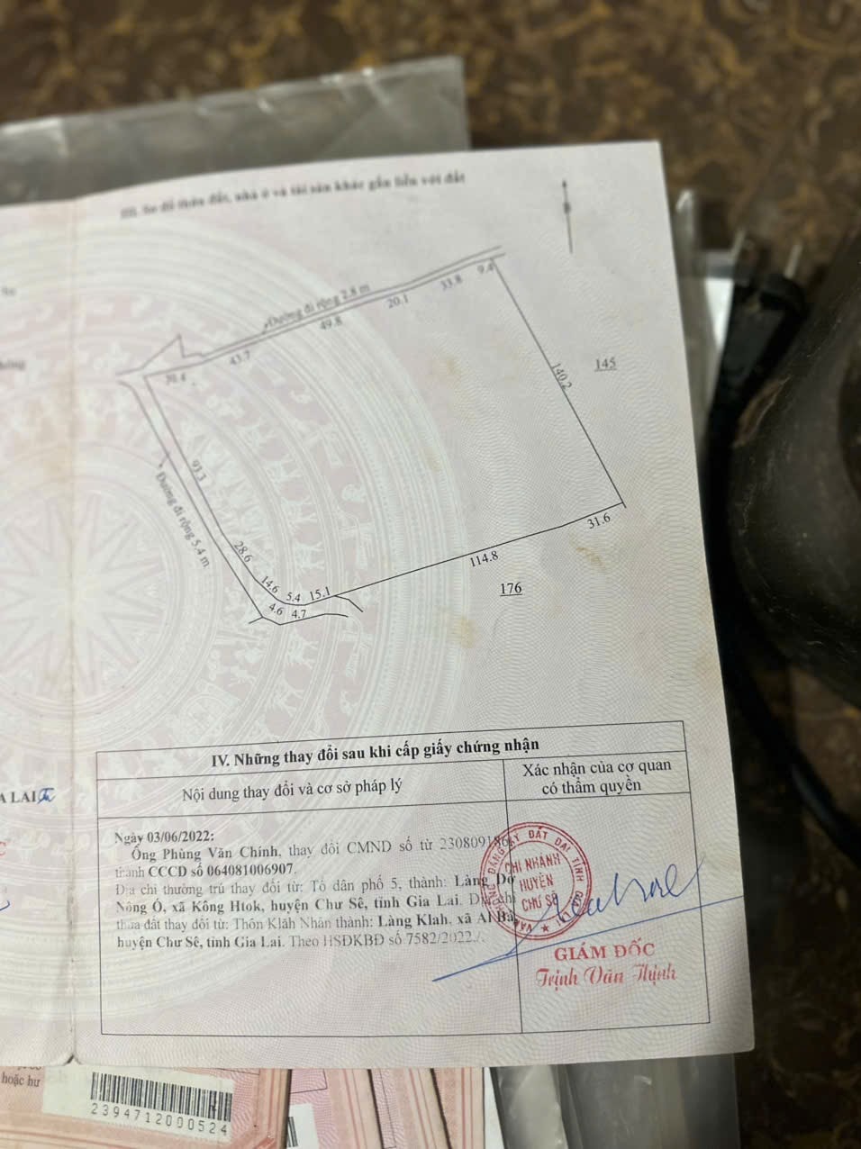 Đất Gia Lai nửa cà phê hái ra tiền, nửa trồng mới, lên thổ cư vi vu