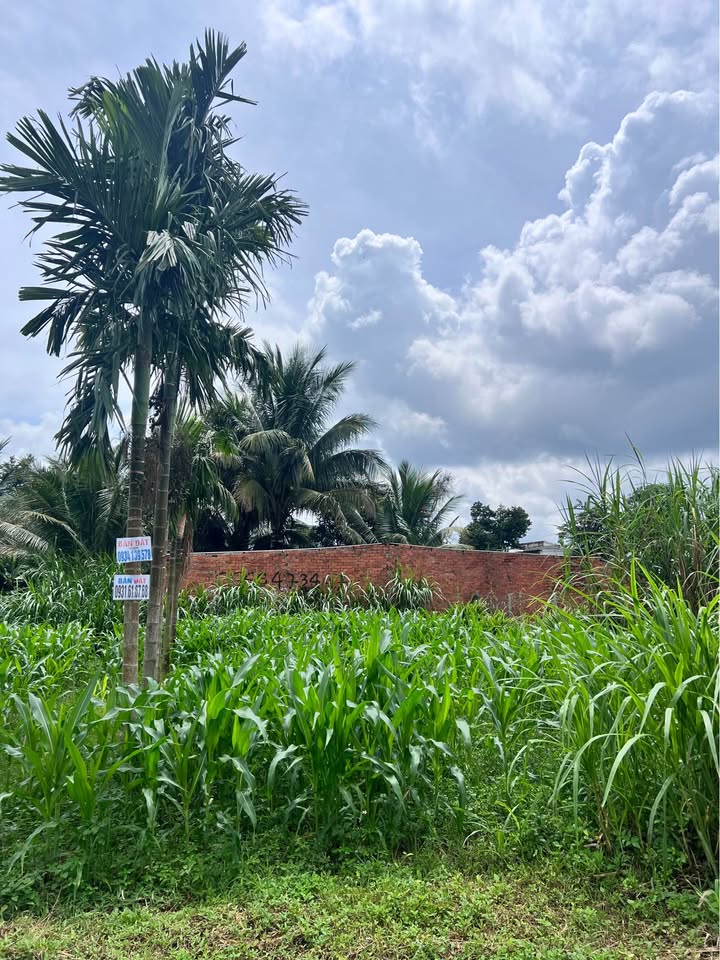 Đất Eakao, 10m ngang giá 5m, rẻ nhất khu vực, ô tô né nhau