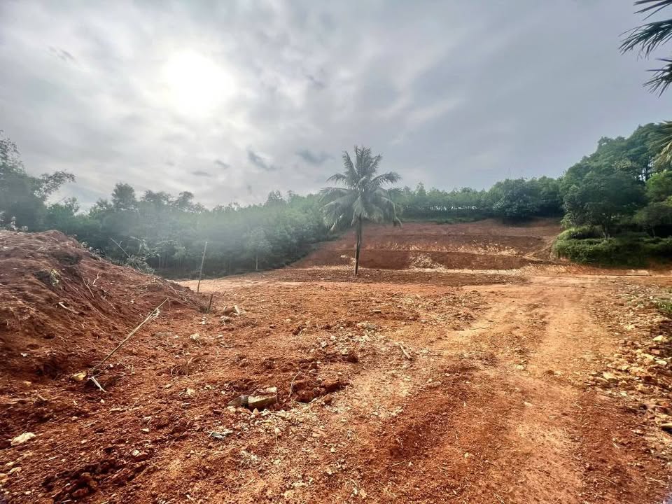 Đất vườn xanh mát 4000m2 tại Phú Lương - Cơ hội an cư lý tưởng