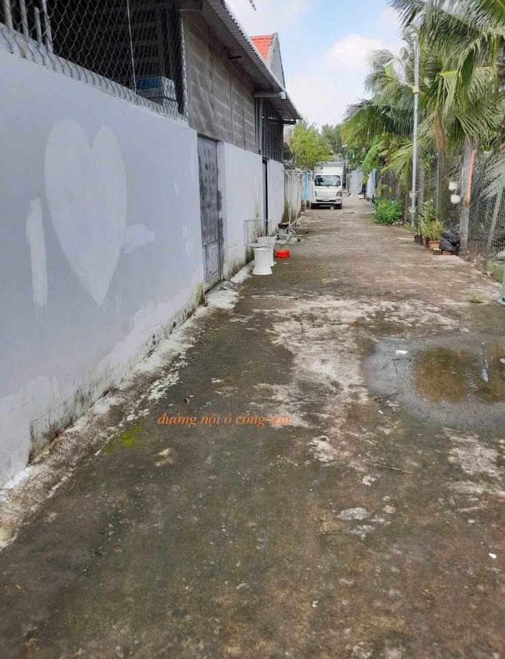 Chào bạn, mình có căn nhà thổ cư 100% tại phường An Hội ới