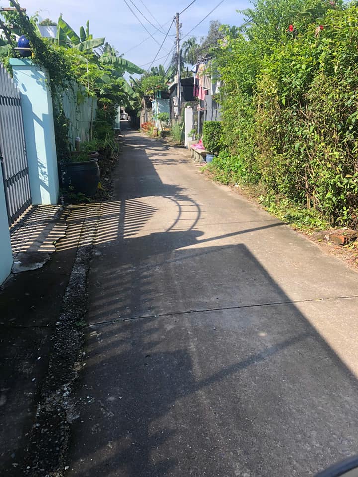 Bán đất tặng nhà cấp 4, Bình Nhâm 21, Thuận An, Bình Dương - 267m²