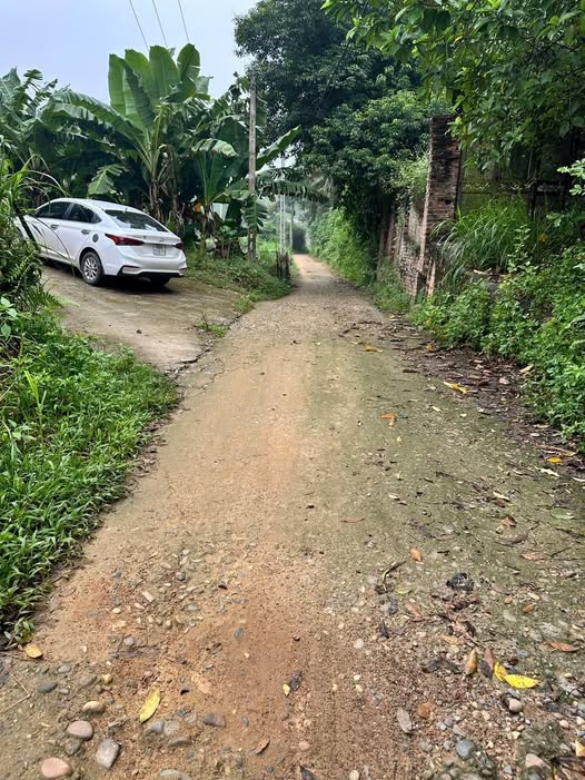 Bán đất 103m² Khu 2 Kim Đức cũ, Việt Trì view đồng thoáng mát