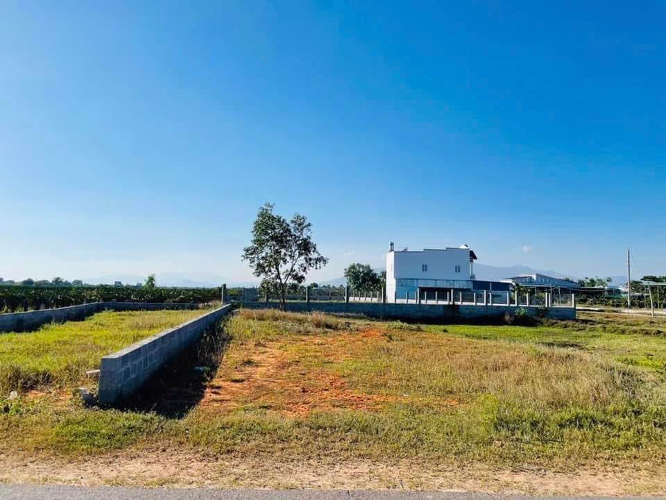 Đất thổ cư vị trí đắc địa tại Hàm Liêm, cách chợ chỉ 300-500m, thuận tiện cho mọi sinh hoạt hàng ngày