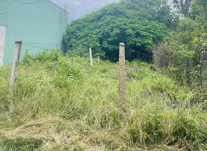 Đất thổ cư Hoà Bình, Kon Tum - An cư lạc nghiệp