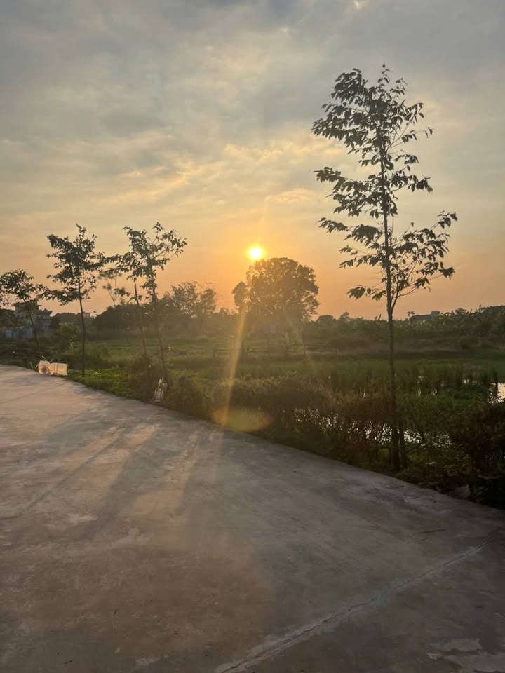 Bán đất mặt tiền 5m tại Phường Trường Thi, Nam Định