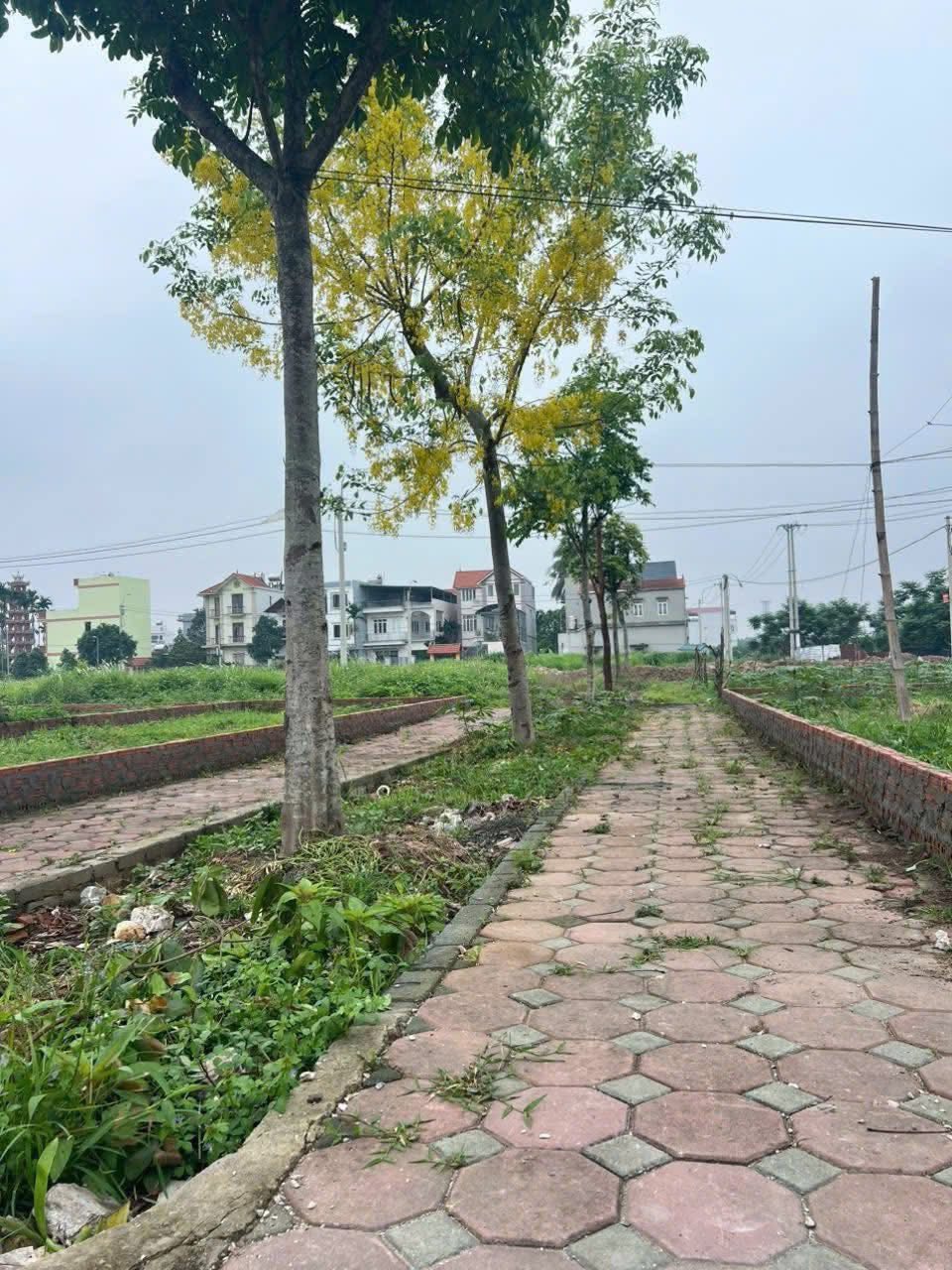 Nắm bắt cơ hội đầu tư đất nền tại Yên Sơn, Hòa Lạc, đón sóng đấu giá khu vực Yên Sơn và Gas Văn Cao