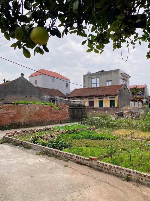 Chào mừng bạn đến với cơ hội sở hữu lô đất tuyệt vời tại khu phố Trà Lâm, phường Trí Quả, Bắc Ninh