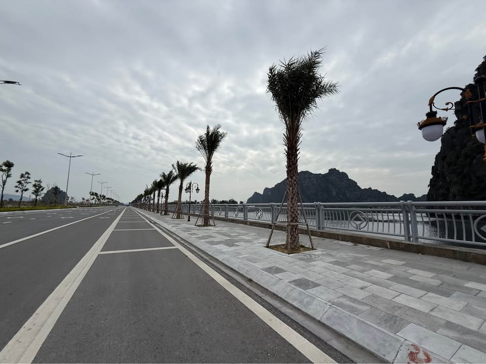 Siêu phẩm đất nền Biệt Thự Cao Sơn 3, diện tích 200m2, đang chờ chủ nhân may mắn