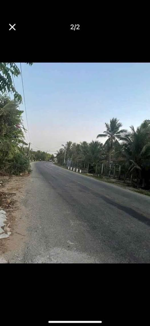 Lạc bước giữa miền đất Châu Bình, Bến Tre, nơi thiên nhiên ban tặng sự trù phú và tiềm năng vô hạn!