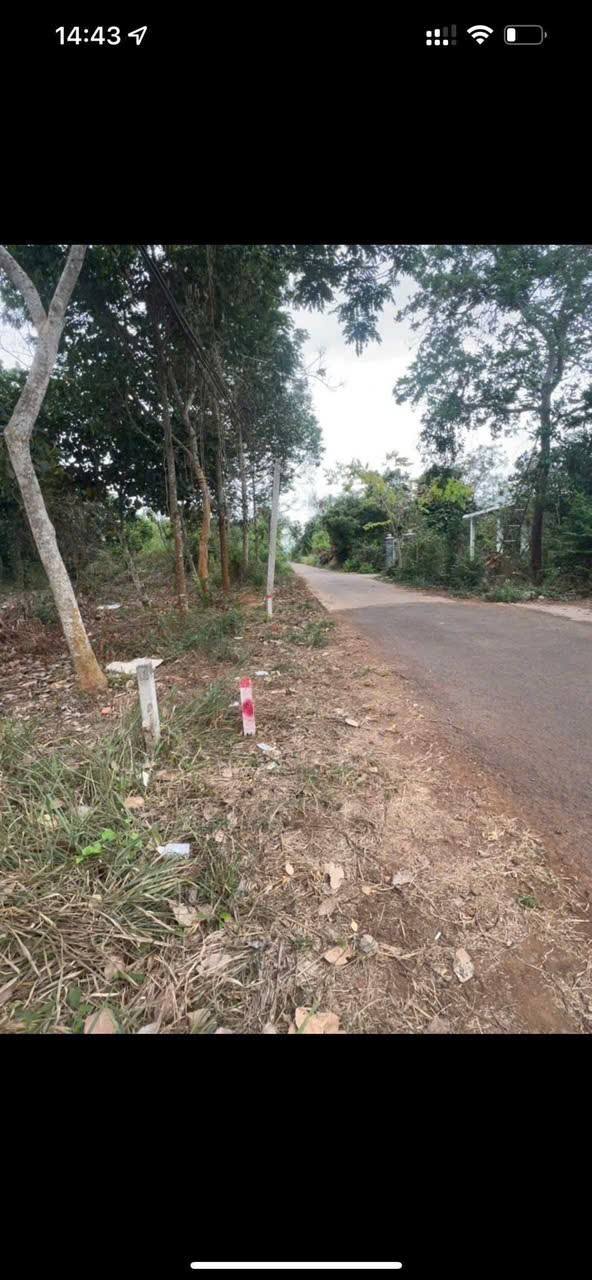 Bán nền 6m x 32m giá rẻ tại Xuân Tây, Cẩm Mỹ, Đồng Nai