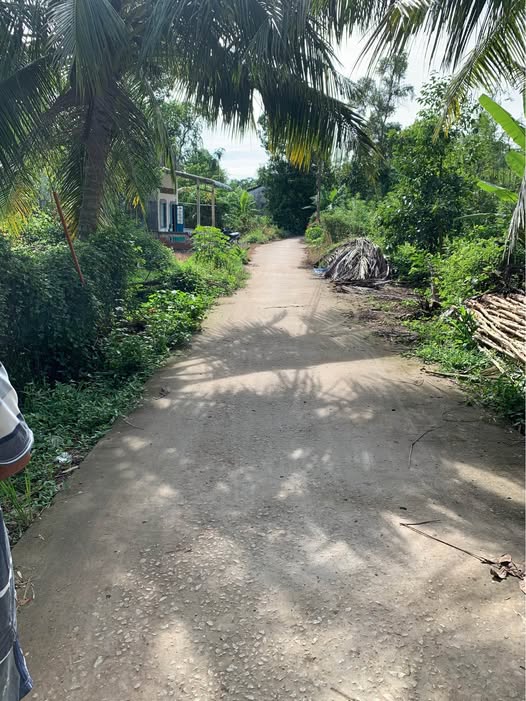 Đất Sóc Trăng xịn sò, mặt tiền rộng mênh mông, giá hời