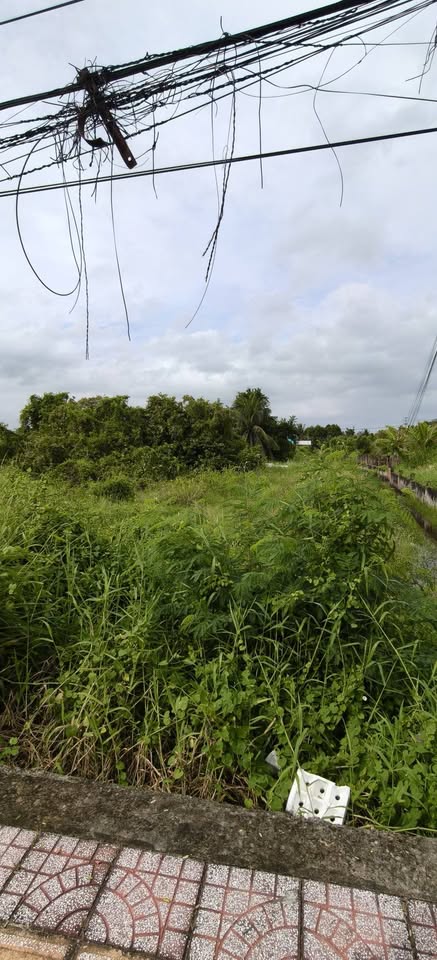 Cần bán nền đất mặt tiền đường Lò Rèn, Phường 5, Thành phố Bạc Liêu