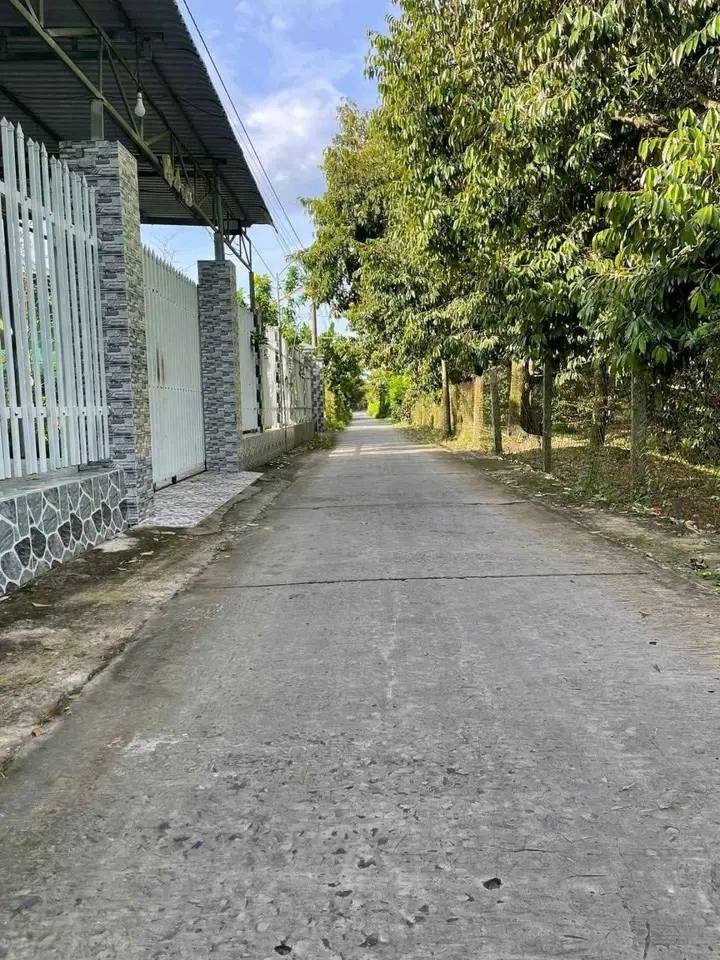 Đất vàng Cái Bè nhà đẹp 541m2, mặt tiền 20m, giá sốc chỉ từ 2.55 tỷ