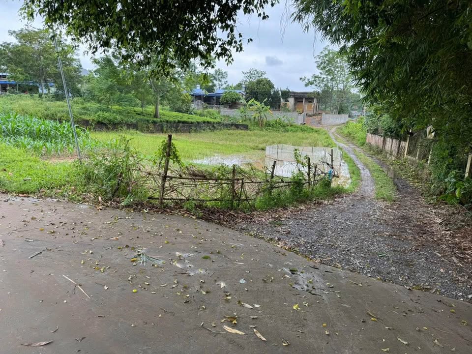 Đất vàng 1100m² sở hữu thiên đường nghỉ dưỡng riêng tư