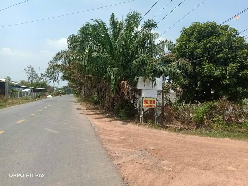 Bán đất thổ cư mặt tiền Hương Lộ 2, Trảng Bàng, Tây Ninh