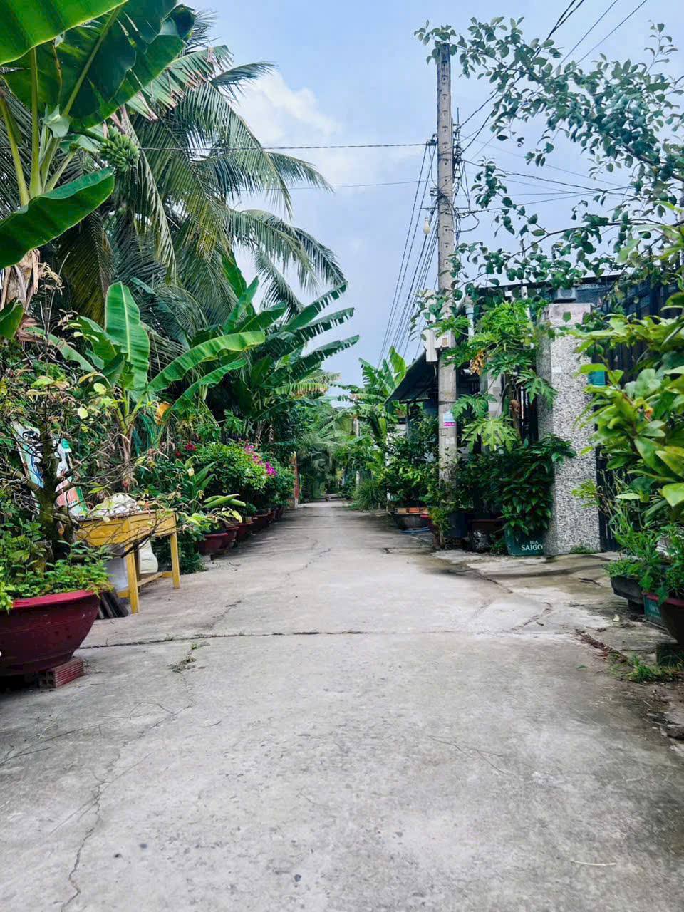 Đất Vĩnh Long 502m² vuông vức, giảm 150 triệu, giá chỉ 750 triệu