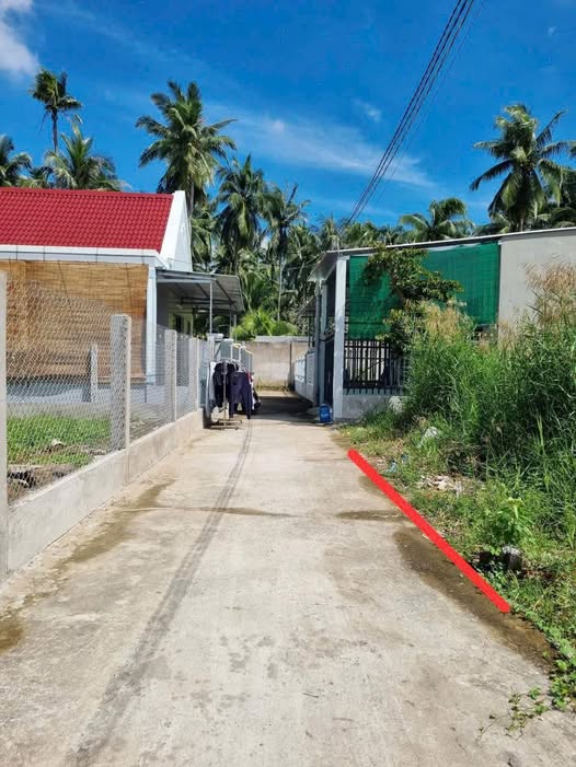 Bến Tre - Đất 100m2, sổ đỏ thổ cư, giá chỉ 600 triệu - cơ hội vàng