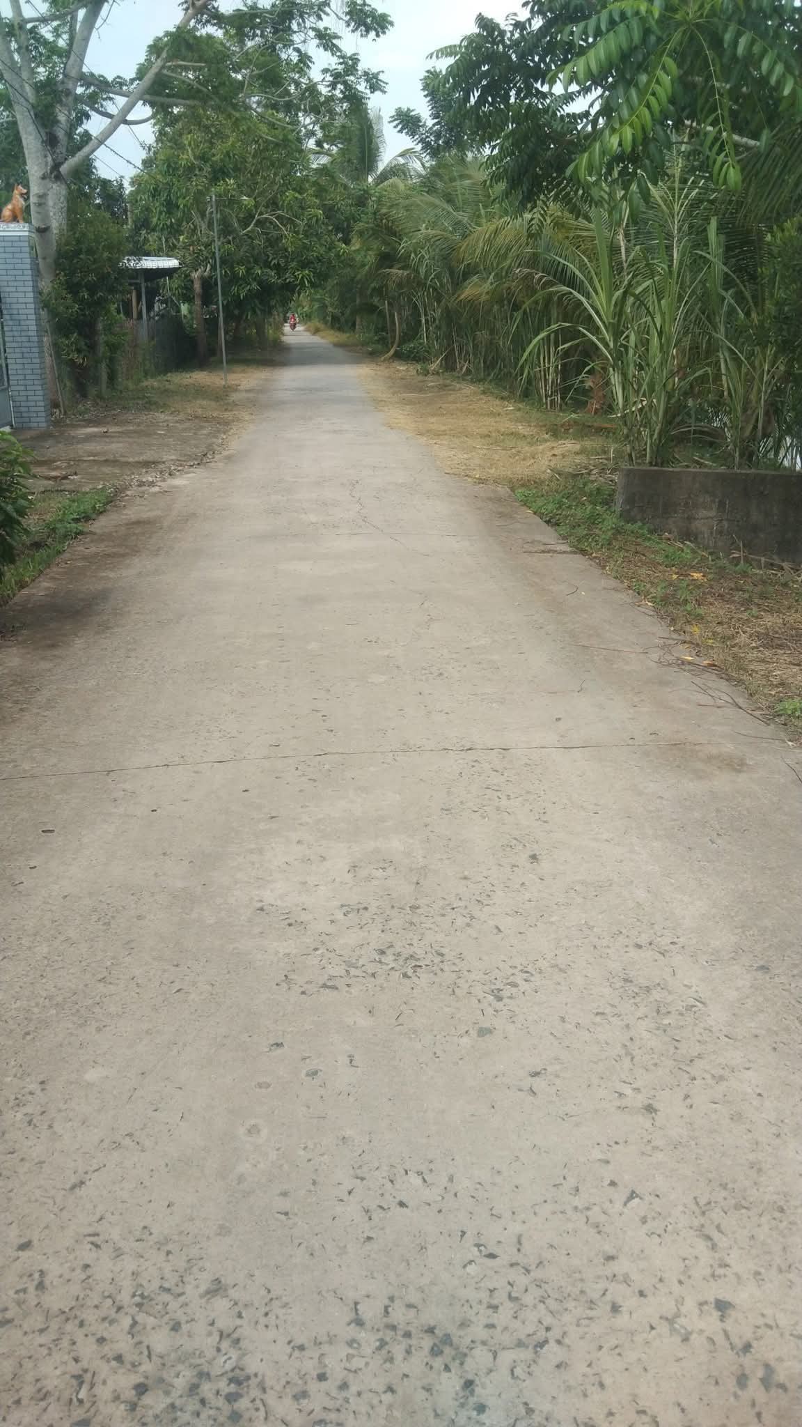 Bán đất Cần Thơ 16.000m2, 2 mặt tiền sông, ô tô tới đất