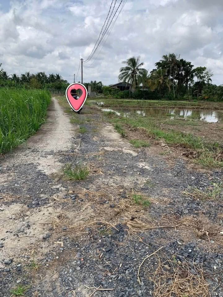 Bán đất thổ cư liền kề, xã Bình Tâm, phường Tân An, Long An