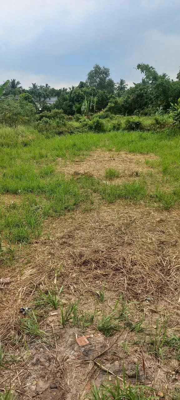 Nền đất mặt tiền đường xã 05 Tam Phước, Bến Tre đây rồi