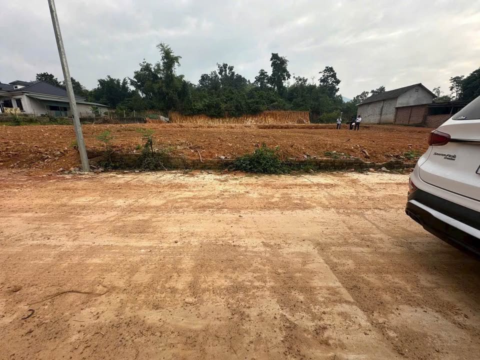 Đất Tam Đảo 100m2 full thổ cư, mặt tiền 5m, giá hời chỉ từ 700 triệu